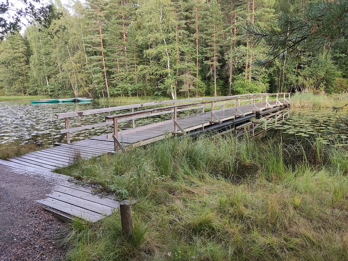 Pitkospuut Haukkalammen rannassa Nuuksiossa